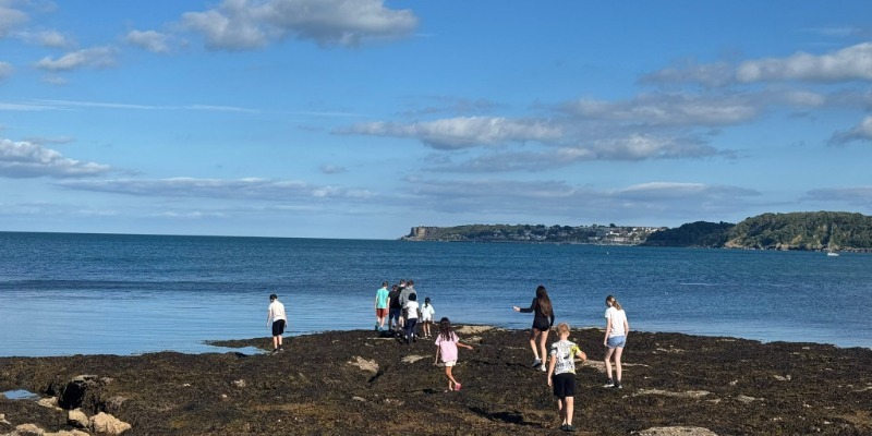 IMG-20250729-WA0008